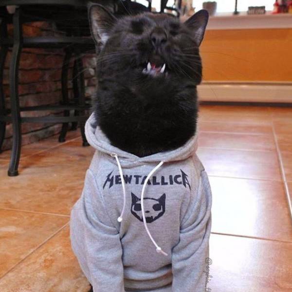 picdump_3737_25.jpg