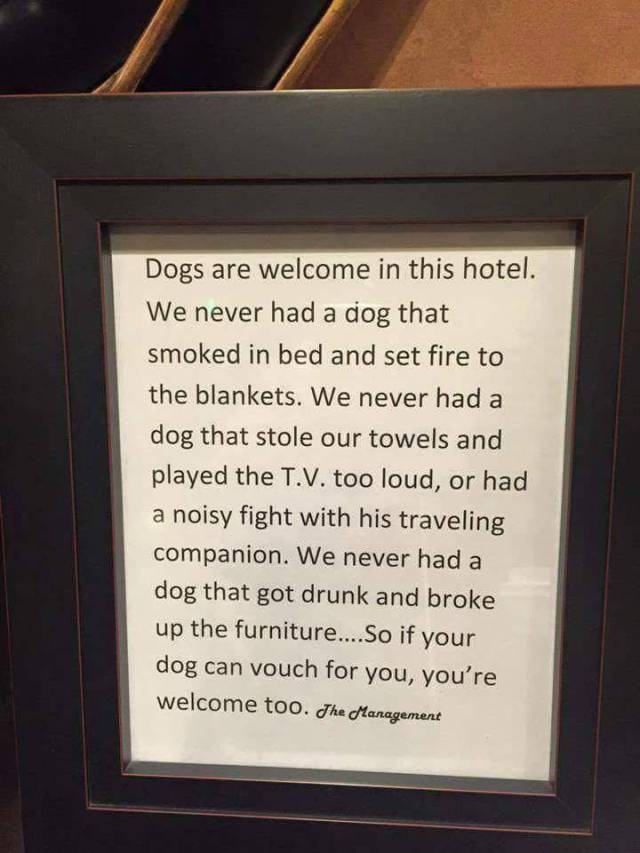 picdump_38.jpg