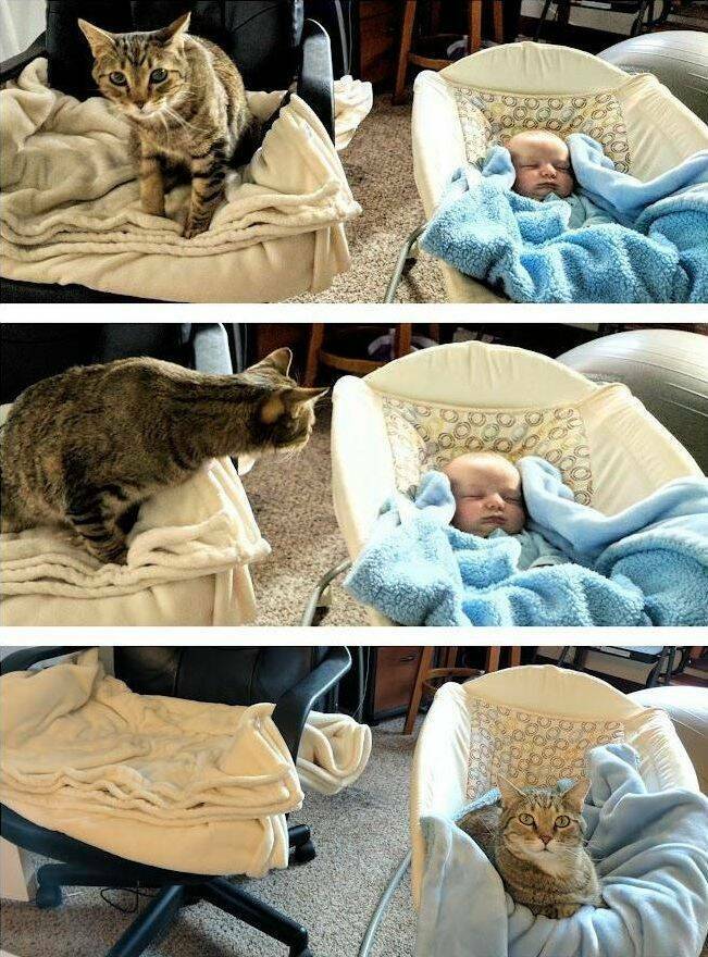 picdump_4096_05.jpg