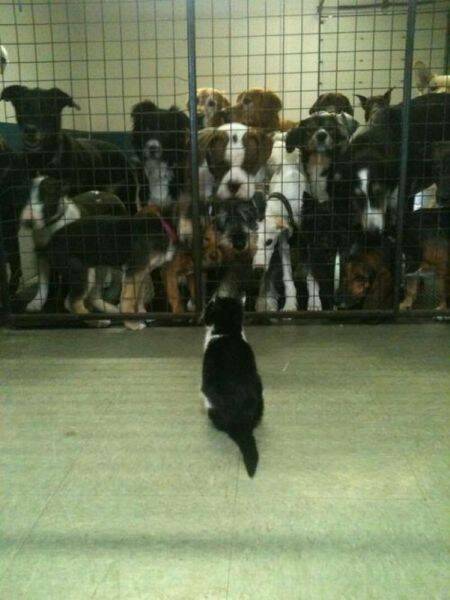 picdump_4879_20.jpg