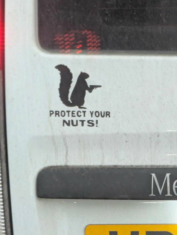 picdump_4891_22.jpg