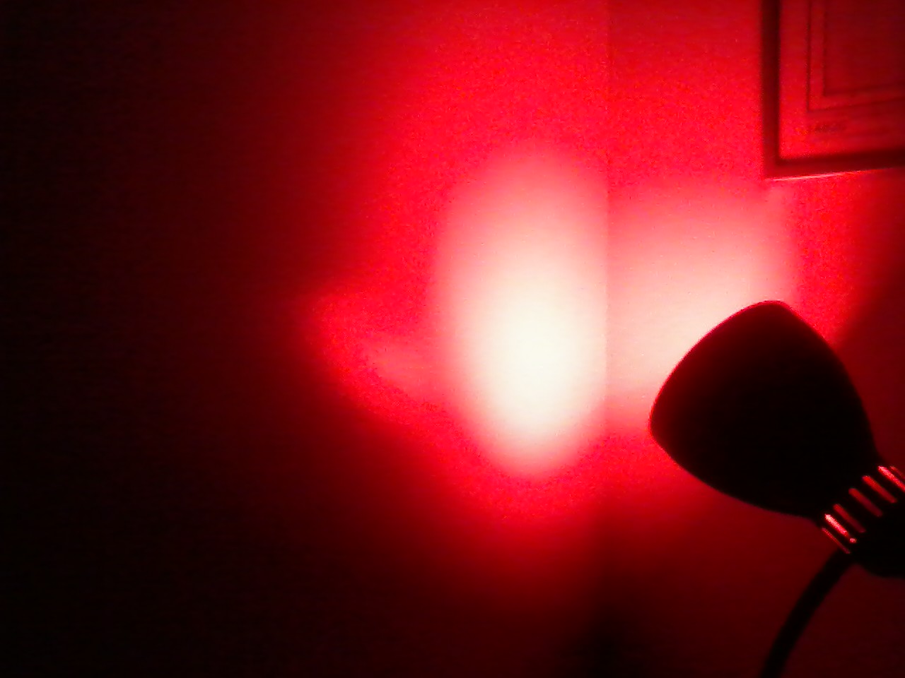 Picture1011172344_1.jpg