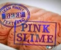 Pink Slime screenshot.jpg