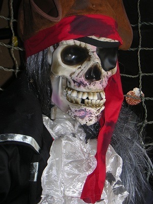 pirate.jpg