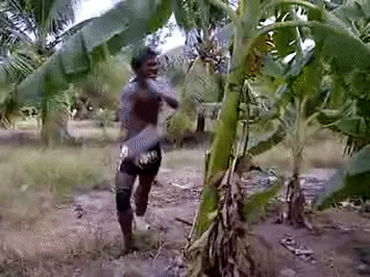 PleasedFrightenedAntelope-size_restricted.gif