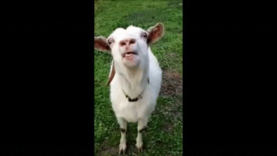 PLZx0n.gif