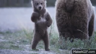 pokey alone.gif