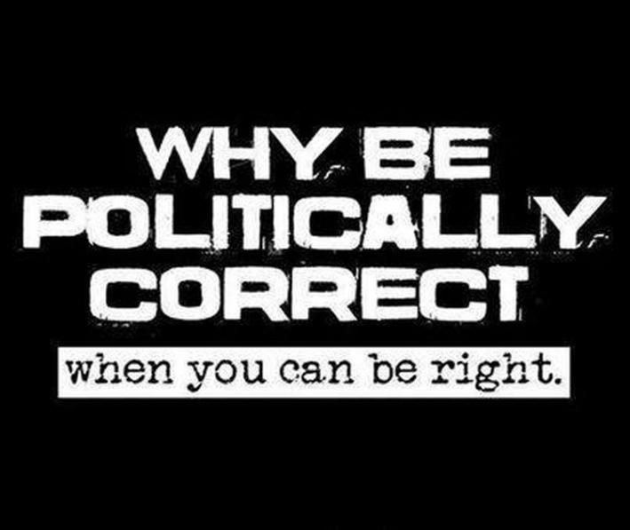 politically correct.jpg