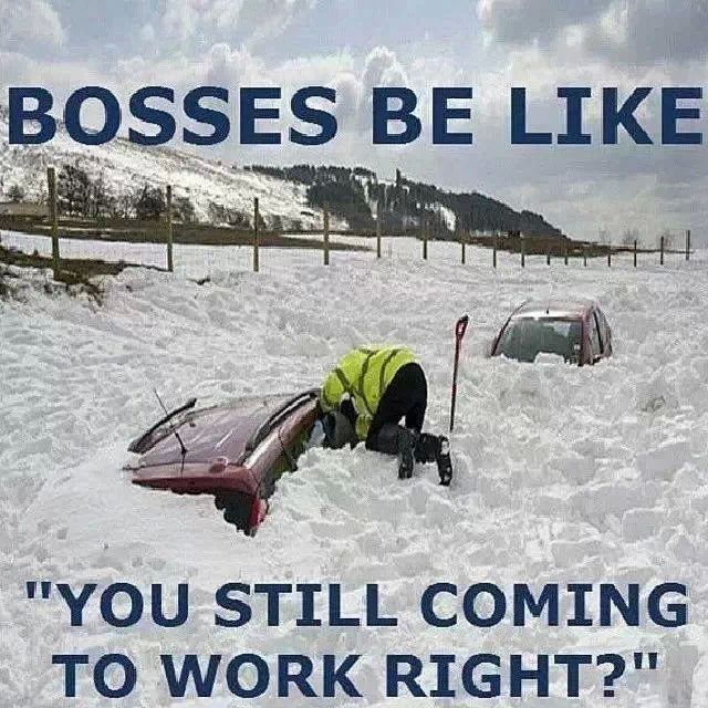 post-35341-Bosses-be-like-You-Still-Comin-8pWl-1.jpeg
