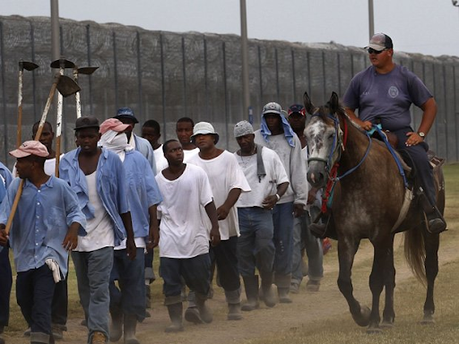 Prisons-PushBlack.png