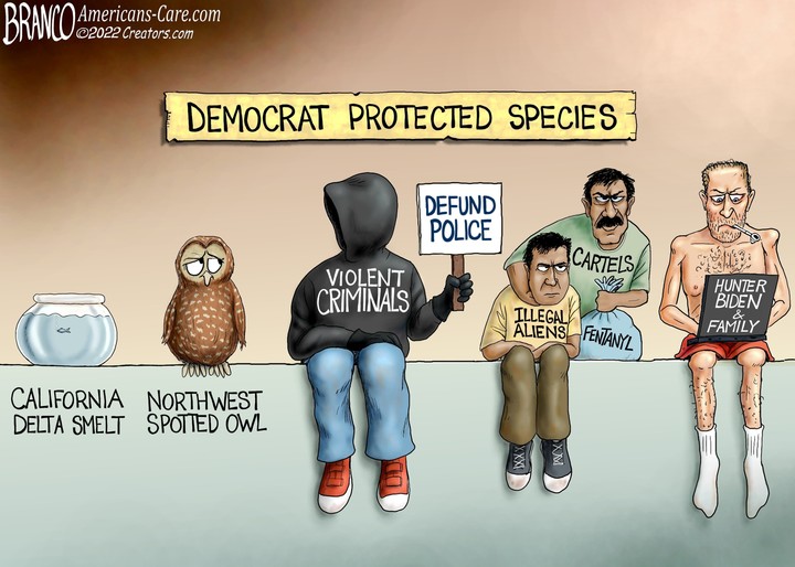 Protected.jpg