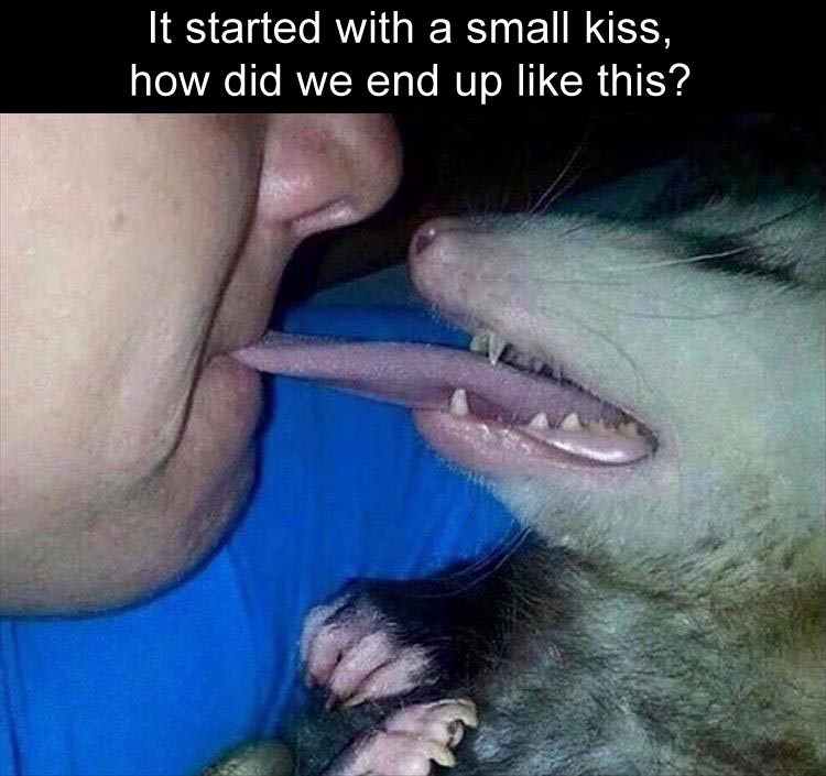 quickly-escalates.jpg