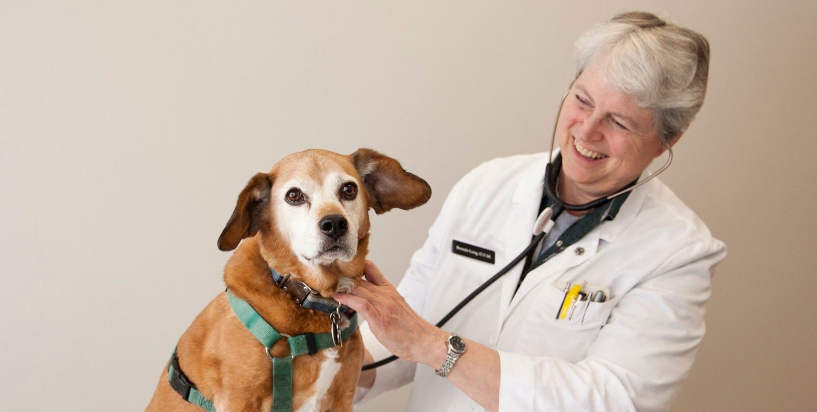 R-1-Providing-your-pets-with-excellent-care-e1552071789452.jpg