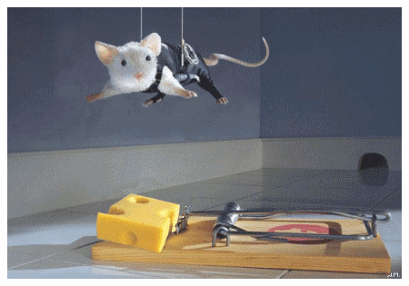 r9W9ciR5BEtEI.gif