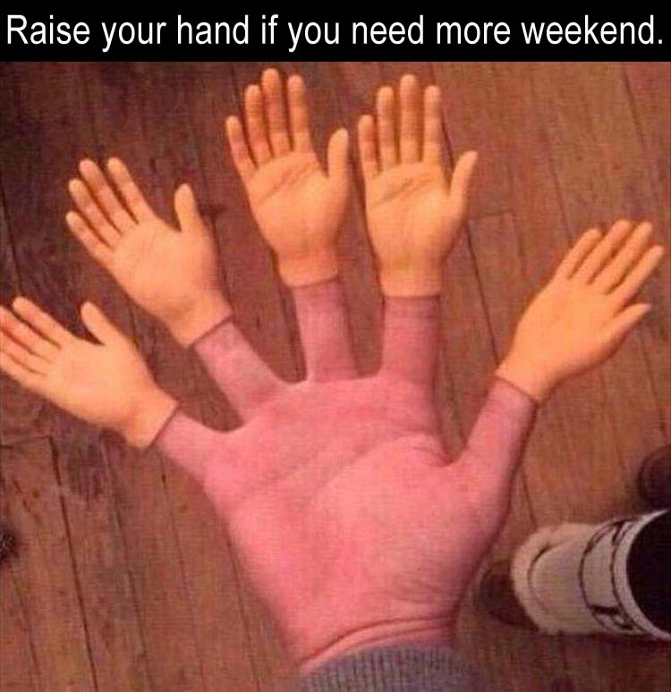 raise-your-hand.jpg