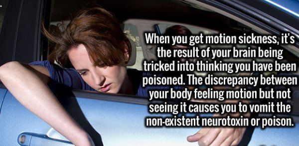 random-facts-19.jpg