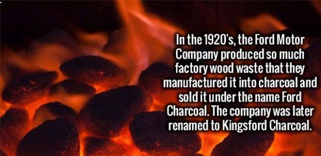 Random-Facts-22.jpg