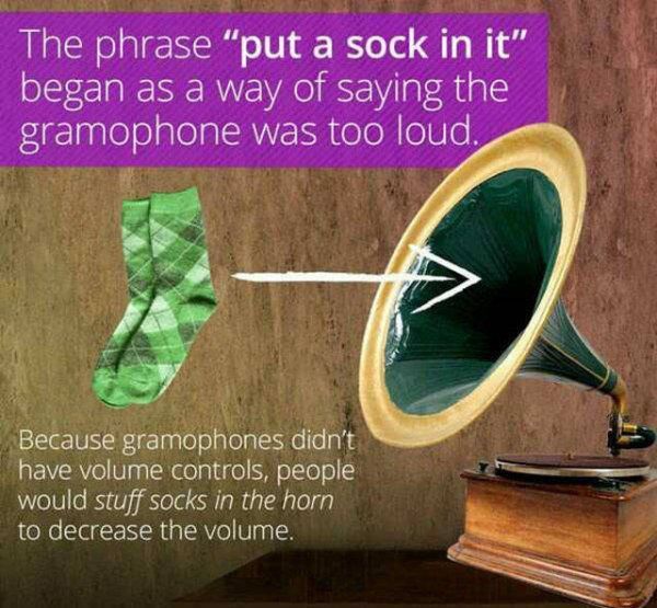 random-facts-8.jpg