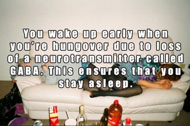 Random-Facts0091.jpg