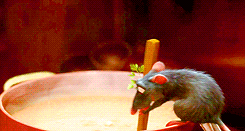 ratatouille-ratatouille-33317334-245-131.gif