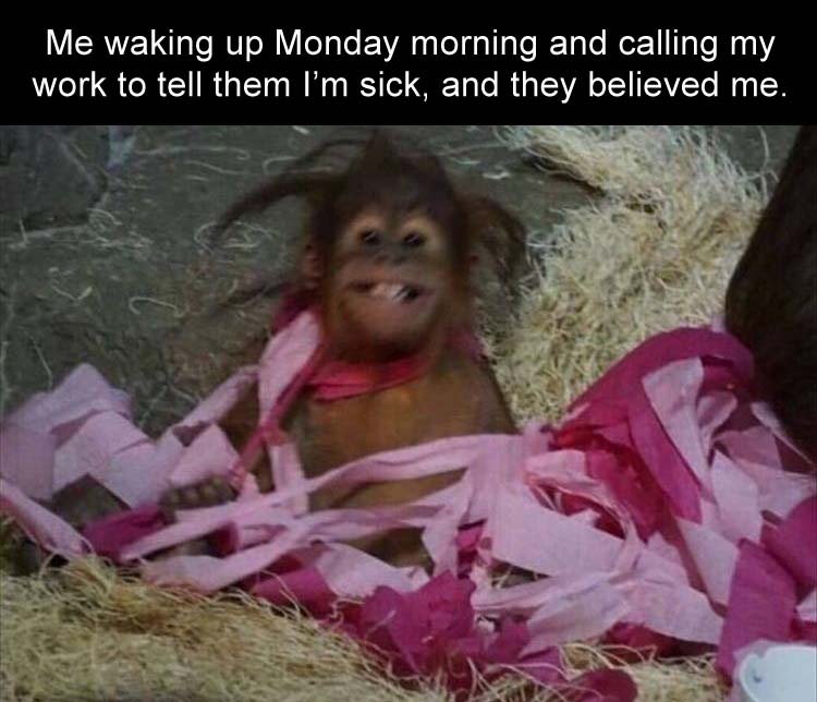 ready-and-Im-like.jpg