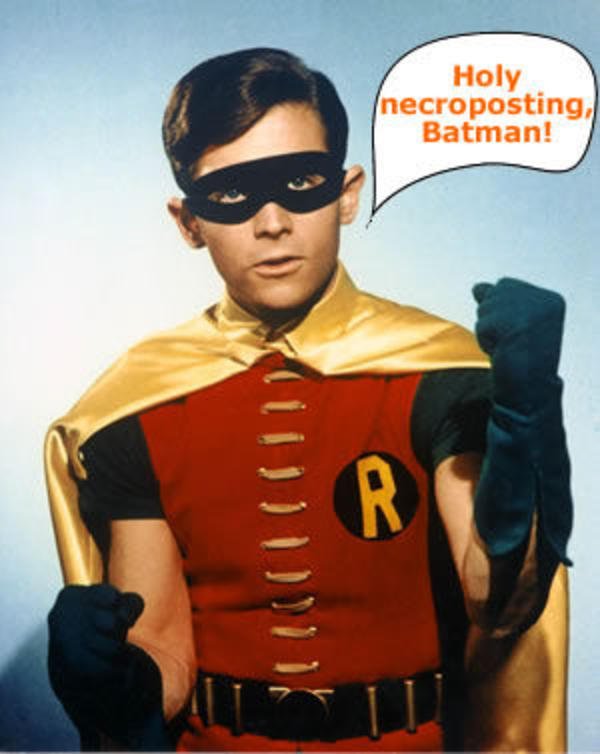 robin.jpg