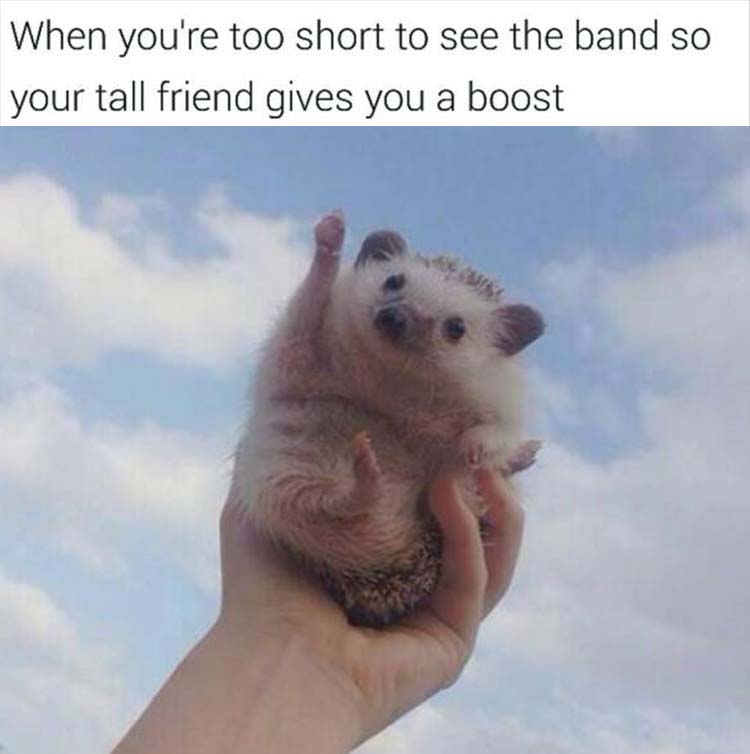 rock-n-roll.jpg