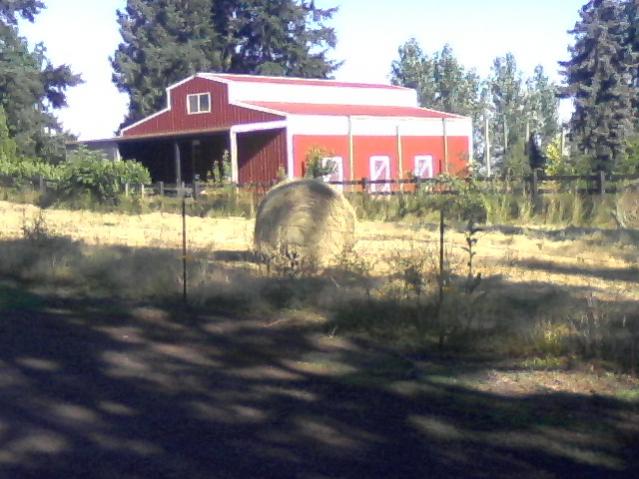 roll in the hay.jpg