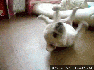 rolling-puppy-o.gif
