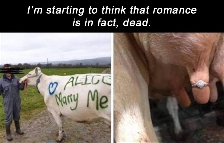 romance-is-dead.jpg