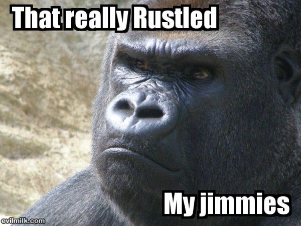 Rustled_My_Jimmies.jpg