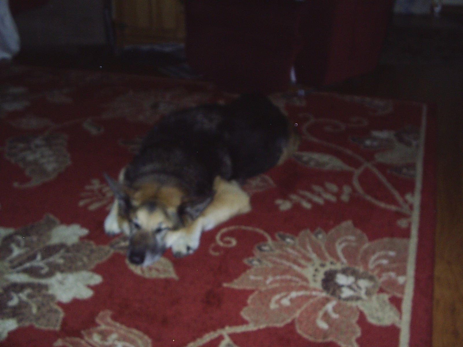 S2010006.JPG