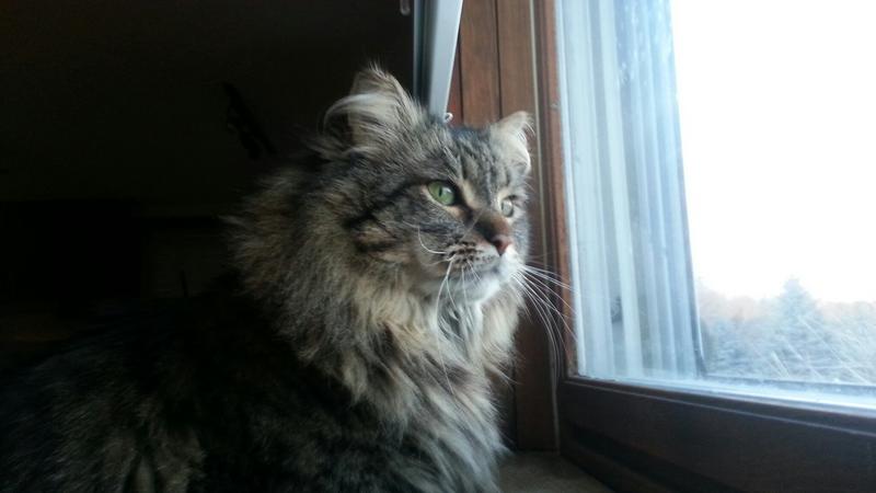 samson2.jpg