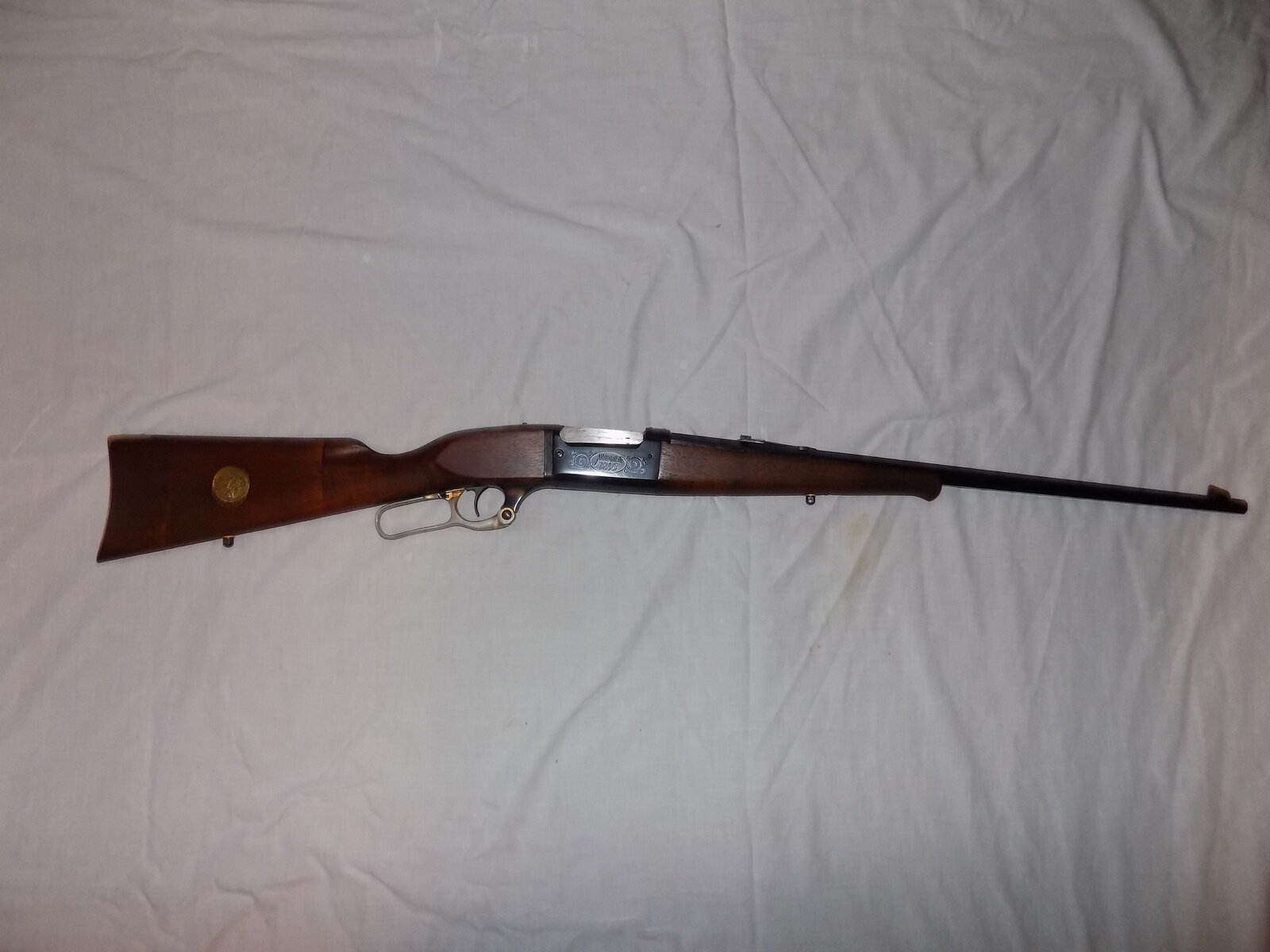 Savage 1895.JPG