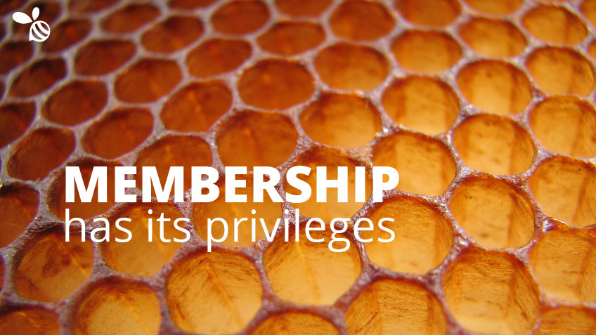 SBQ-Membership-Privileges-Wide.jpg