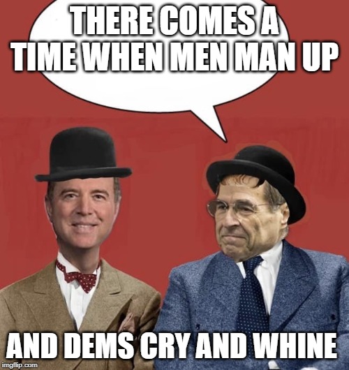 schiff and nadler.jpg