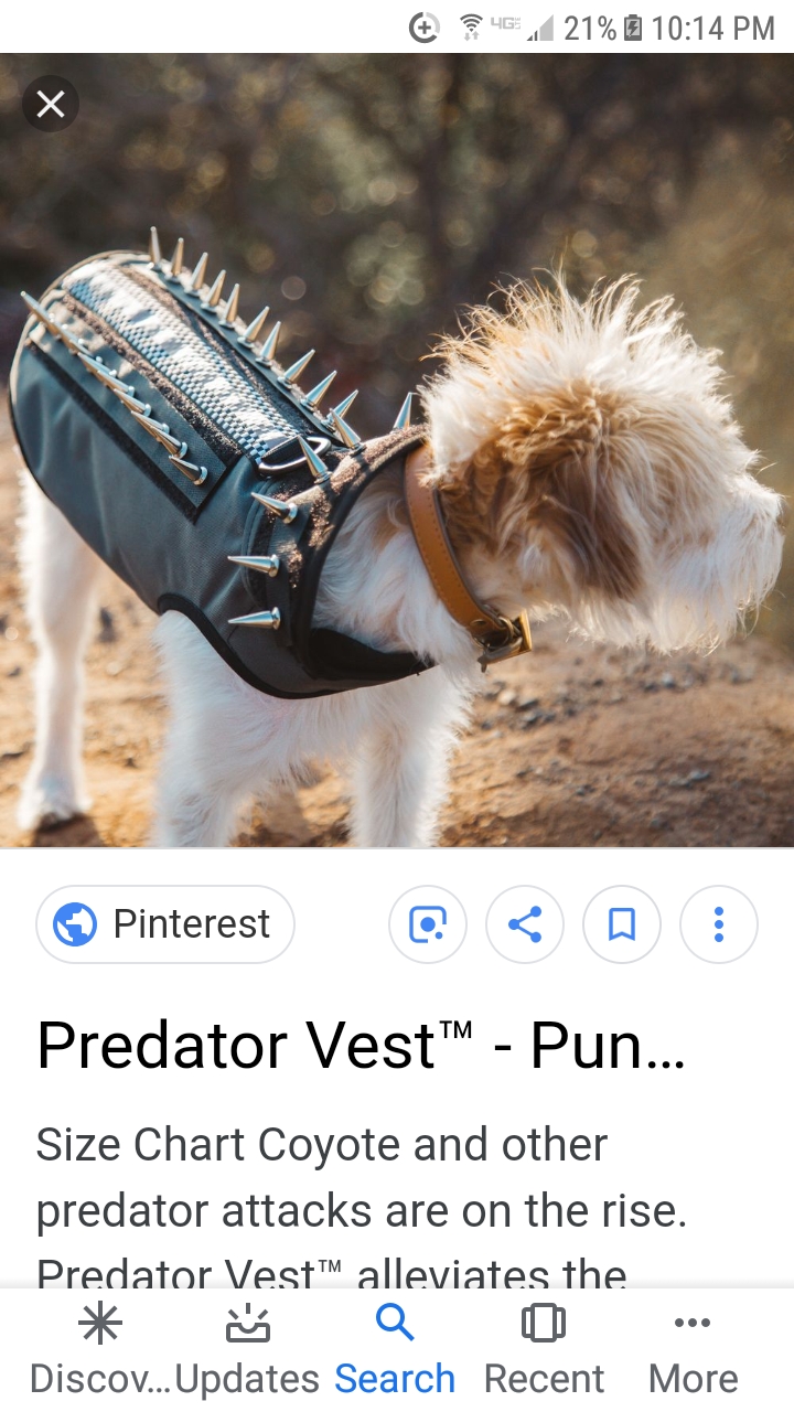 Screenshot_20190303-221449.jpg