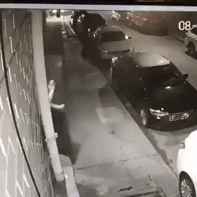 SecondhandCrazyIndianskimmer-size_restricted.gif