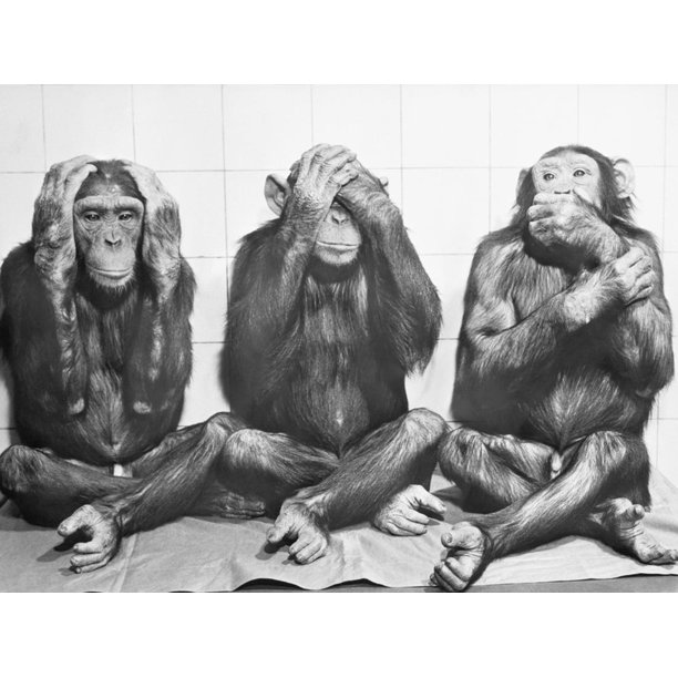 See no evil.jpeg