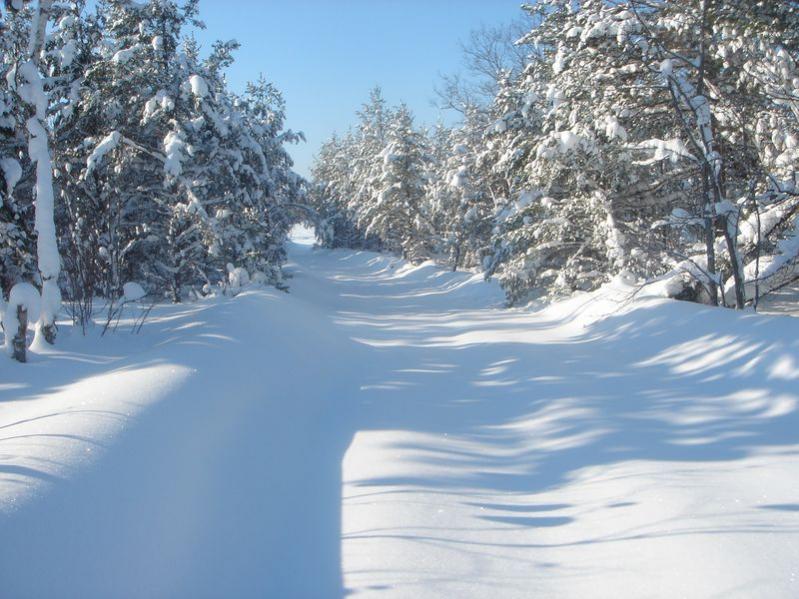 Seney, Michigan MLK weekend 2009 051 [800x600].jpg