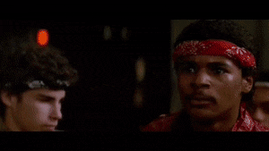 SeriousDeliciousAdeliepenguin-max-1mb.gif