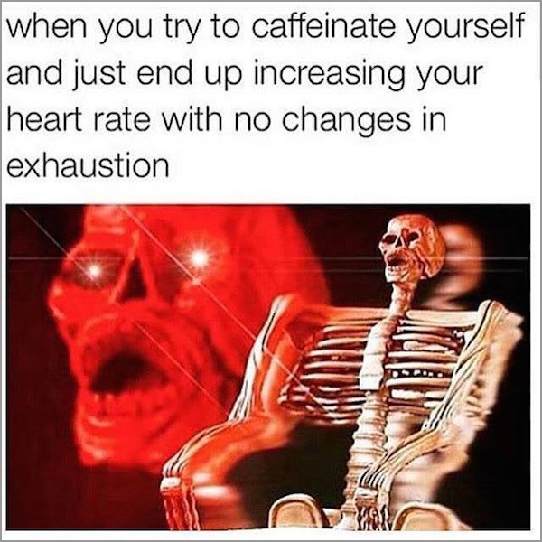 sfonjse.jpg