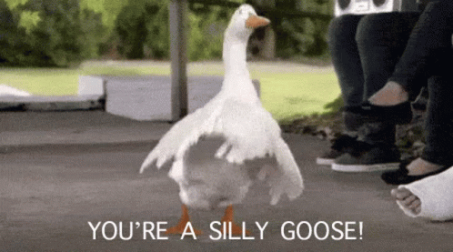 sg.gif