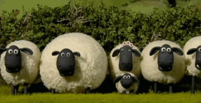 sheep-gif-2.gif