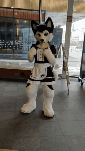 sheppy-shisha.gif