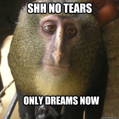 Shh-No-Tears-Only-Dreams-Now-Funny-Monkey-Meme-Picture.jpg