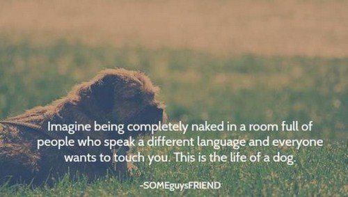 simple-quotes-001.jpg