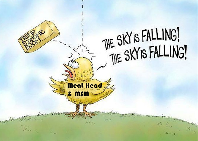 Sky is falling - Trump policies.jpg