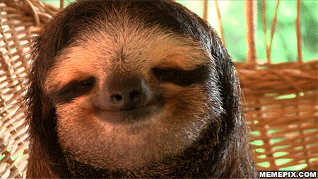 sloth.gif