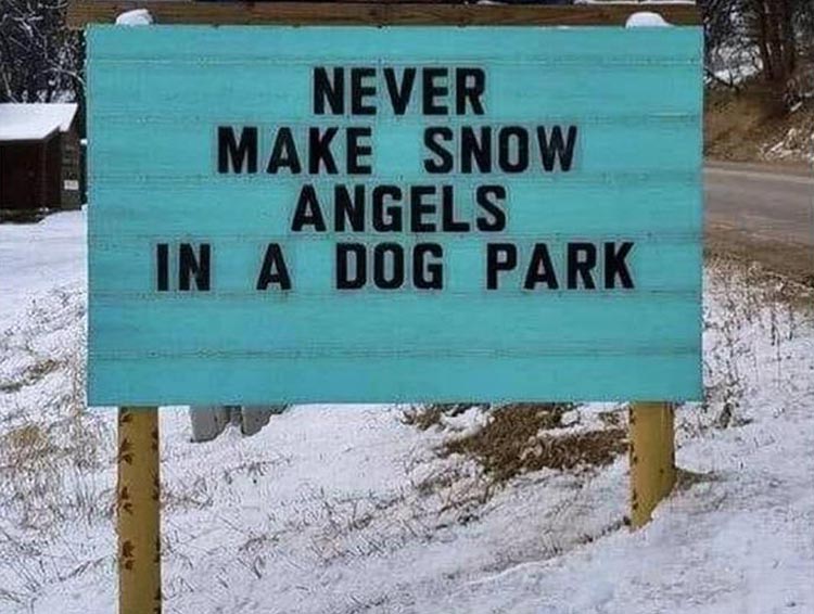 snow-angels.jpg
